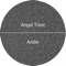 Ander - Angel Tonic lyrics