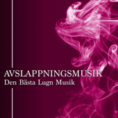 Avslappningsmusik - Den Bästa Lugn Musik och Instrumentalmusik för Sömnproblem (Vitt Brus, Vågor, Regn och Vind) - Sleep n Love & Avslappnande Musik