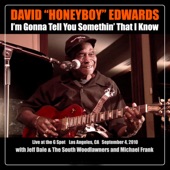 David "Honeyboy" Edwards - Little Boy Blue (Live)