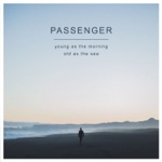 Passenger - Beautiful Birds (feat. Birdy)