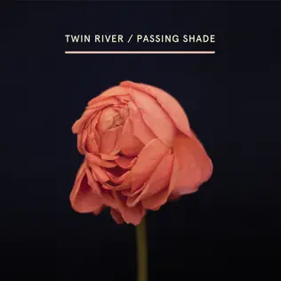 last ned album Twin River - Passing Shade