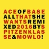 Ace of Base - All That She Wants (Spitzenklasse Remix)