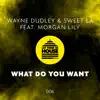 What Do You Want (feat. Morgan Lily) - Single album lyrics, reviews, download