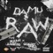 Raw (feat. Young Lawles & Goldie Gold) - Damu lyrics