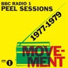 Adam & The Ants - Deutscher Girls (John Peel Session)