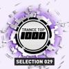 Trance Top 1000 Selection, Vol. 29