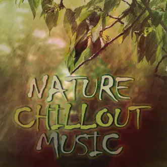 Nature Chillout Music by Various Artists album reviews, ratings, credits