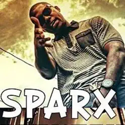 Sa Pa Afektem - Single - Sparx