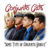 Some Type of Conjunto Groove