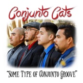 Conjunto Cats - Me Agarraste Borracho