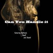 Can You Handle It (feat. Big Knock, Real E & Shandi) artwork