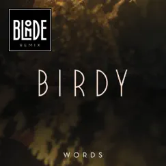 Words (Blonde Remix) - Single by Birdy album reviews, ratings, credits