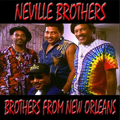 Brothers From New Orleans - Neville Brothers