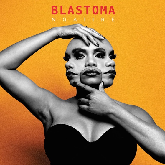 Cover artwork for Diggin