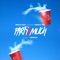 Party 2 Much (feat. Prince Tre) - Wisco Kidz lyrics