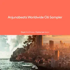 Anjunabeats Worldwide 06 Sampler - Single by Grum & Sunny Lax album reviews, ratings, credits