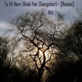 Tu Hi Meri Shab Hai (Gangster) [Remix] artwork