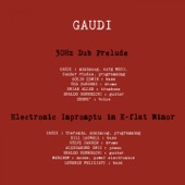 Gaudi - 30Hz Dub Prelude