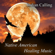 Ancestral Shamanic Journey (feat. Uqualla) - Indian Calling