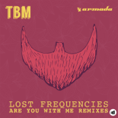 Are You with Me (Remixes) - EP - Lost Frequencies