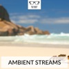 Ambient Streams, 2016