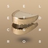 Shir Khan Presents Secret Gold, Vol. 8 - EP