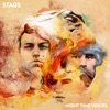Stags - Through the Looking Glass