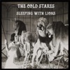 Sleeping with Lions - Single artwork