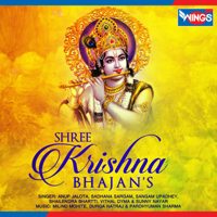 Various Artists - Shree Krishna Bhajan's artwork