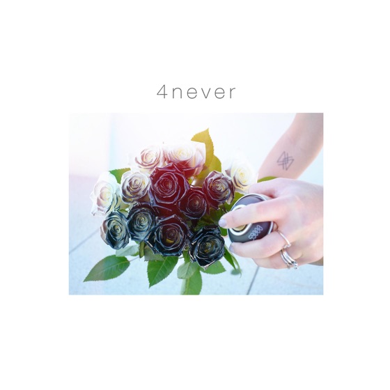 Cover artwork for 4Never