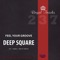 Feel The Groove (Fapples Remix) - Deep Square lyrics