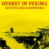 Splitter der Schöpfung