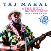 Taj Mahal - New Hula Blues
