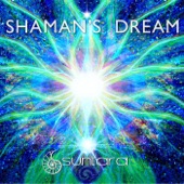 Shaman's Dream artwork