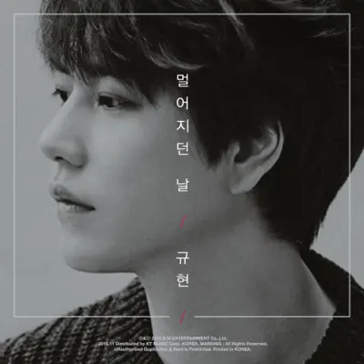 The Day We Felt the Distance - Single - Kyuhyun