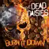 Burn It Down album lyrics, reviews, download