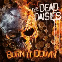 Burn It Down by The Dead Daisies album reviews, ratings, credits
