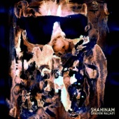 Shahinam artwork