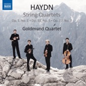 String Quartet in B-Flat Major, Op. 1 No. 1, Hob. III:1 "La chasse": III. Adagio artwork