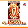 Parthasarathy - Sree Saarkkareswari