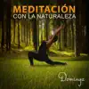 Meditación con la Naturaleza - Relajación Musicoterapia, Ambientes Naturales para la Meditación (Canciones Vocales y Música Instrumental) album lyrics, reviews, download