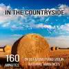 In the Countryside: 160 Minutes of Relaxing Piano Violin Natural Ambiences for Meditation and Sleep, Country Farm Sound Effects album lyrics, reviews, download