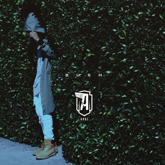 Cover artwork for Bush