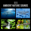 111 Ambient Nature Sounds: Best Relaxing Music, Hypnotic Ocean Waves, Calm Sounds of Rain, White Noise, Healing Waterfalls and Animal Songs to Reduce Stress - Various Artists