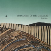 Birdsongs of the Mesozoic - Pteropold