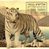 Elisha Banai & The Forty Thieves - רוק בתל אביב