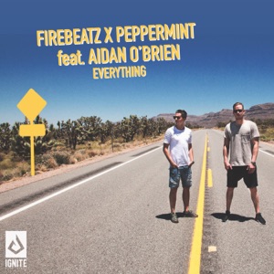 Everything (feat. Aidan O’Brien) - Single