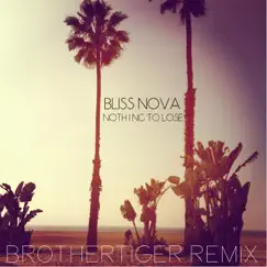 Nothing to Lose (Brothertiger Remix) [feat. Brothertiger] Song Lyrics