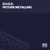 Picture Me Falling - EP