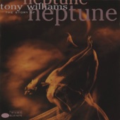 Tony Williams - Blackbird
